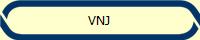 VNJ